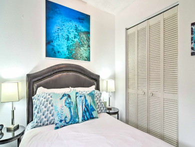 Indian Rocks Condo Near Beach